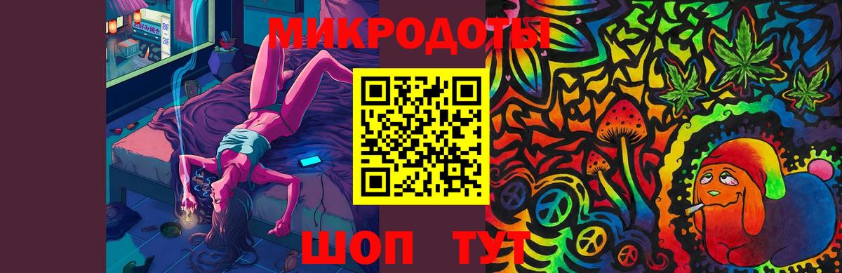 Псилоцибиновые грибы Psilocybine cubensis Сальск