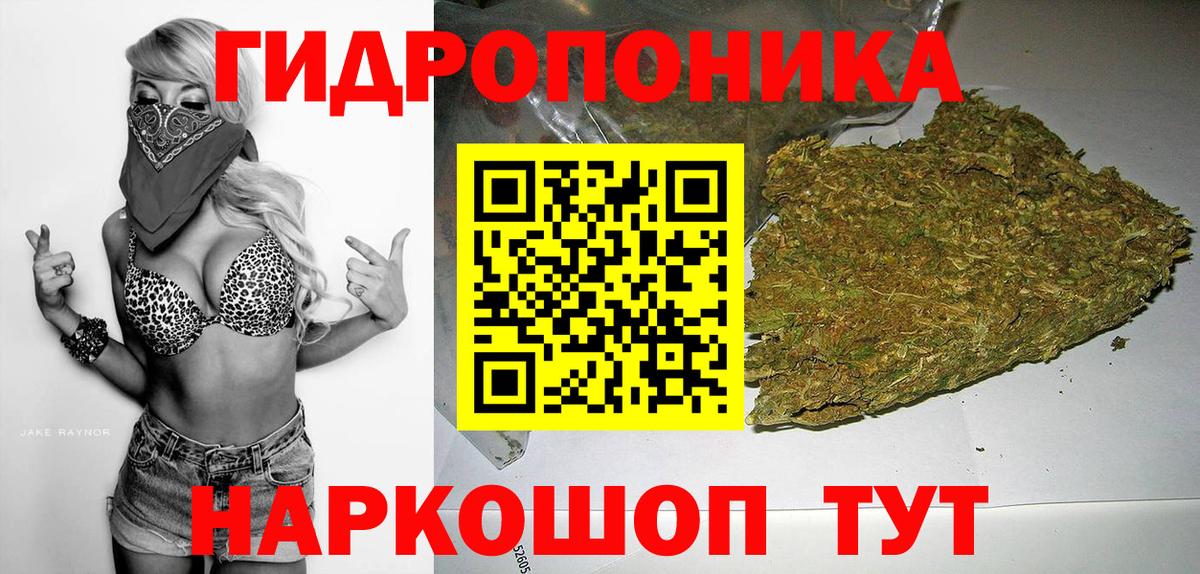 Бошки марихуана ГИДРОПОН Сальск